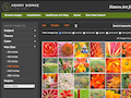 Quick Search Tips